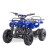 Детский бензиновый квадроцикл Motax Atv Х-16 Мини-Гризли с родительским пультом